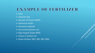  Urea
 Kieserite (Kie)
 Muriate Of Potash (MOP)
 Ammonia nitrate
 Ammonia sulphate
 Ground phosphate rock
 Baja Organik Espek (BOE)
 Factory’s fertilizer (K)
 Risda Fertilizer (RB1, RB2, RB3, RB4)
 