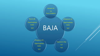 BAJA
Nitrogen (N)
*EA
*Buchi Distillation
Potassium (K)
*Spectrophoto
meter
*ICP
Magnesium (Mg)
*ICP
*ASS
Phosporus (P)
*Spectrophoto
meter
*ICP
Boron (B)
*Spectrophoto
meter
*ICP
 