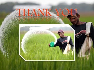 Fertilizer and its classification