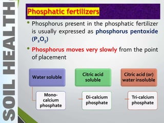 Phosphatic fertilizers
• Phosphorus present in the phosphatic fertilizer
is usually expressed as phosphorus pentoxide
(P2O5)
• Phosphorus moves very slowly from the point
of placement
Water soluble
Mono-
calcium
phosphate
Citric acid
soluble
Di-calcium
phosphate
Citric acid (or)
water insoluble
Tri-calcium
phosphate
 