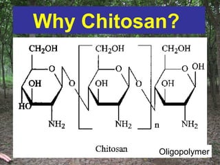 Why Chitosan?
Oligopolymer
 