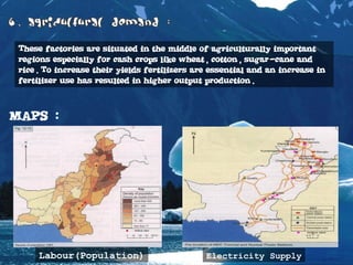 These factories are situated in the middle of agriculturally important
regions especially for cash crops like wheat, cotton, sugar-cane and
rice. To increase their yields fertilizers are essential and an increase in
fertilizer use has resulted in higher output production.
MAPS :
Labour(Population) Electricity Supply
 