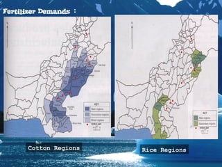 Fertilizer Demands :
Cotton Regions Rice Regions
 