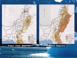 Wheat RegionsSugar Cane Regions
 
