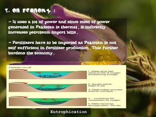 - It uses a lot of power and since most of power
generated in Pakistan is thermal, it indirectly
increases petroleum import bills.
- Fertilizers have to be imported as Pakistan is not
self sufficient in fertilizer production. This further
burdens the economy.
Eutrophication
 