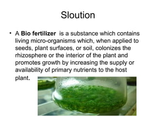 Sloution
• A Bio fertilizer  is a substance which contains 
living micro-organisms which, when applied to 
seeds, plant surfaces, or soil, colonizes the 
rhizosphere or the interior of the plant and 
promotes growth by increasing the supply or 
availability of primary nutrients to the host 
plant.
 