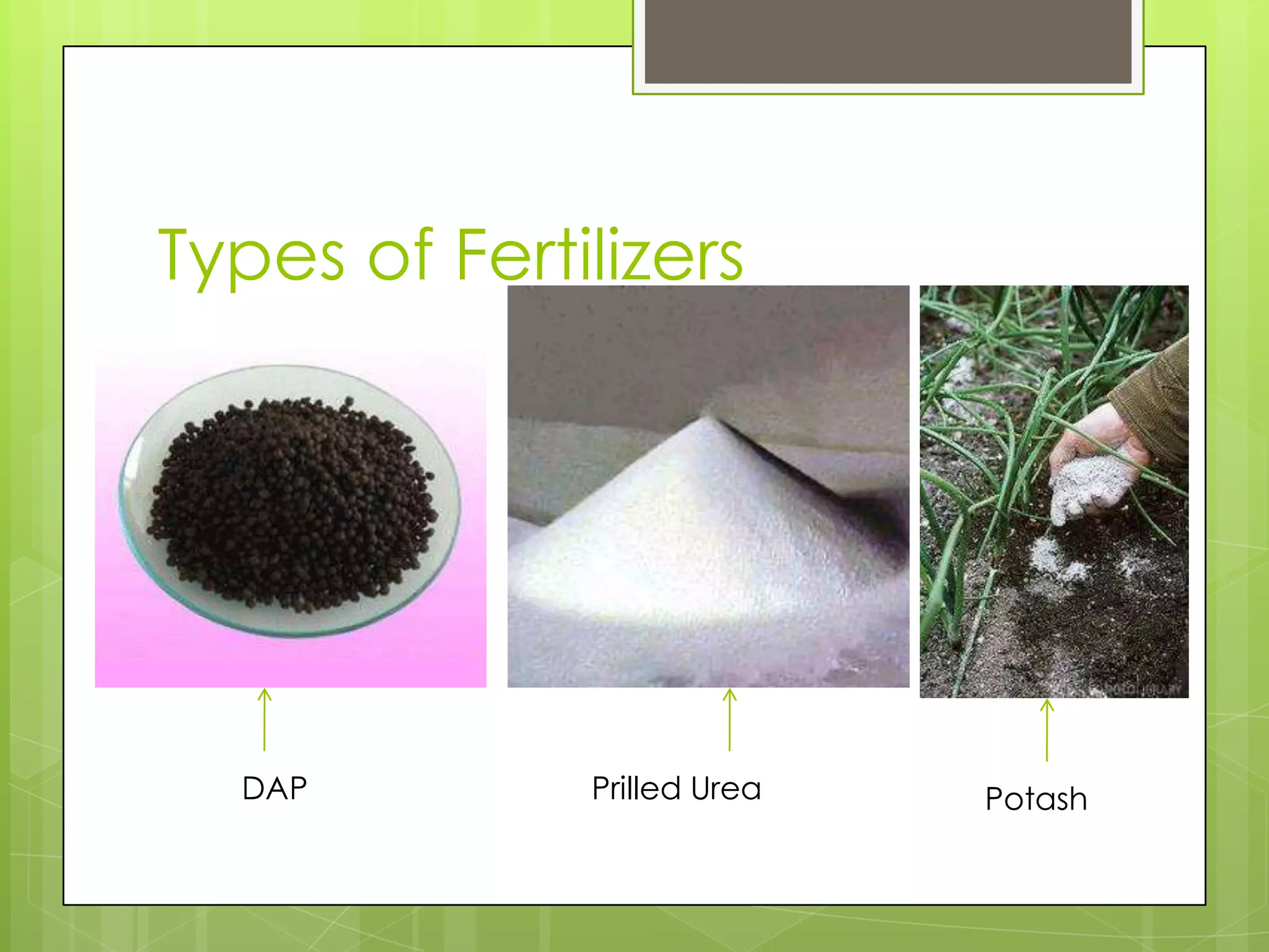 Types of Fertilizers




  DAP         Prilled Urea   Potash
 
