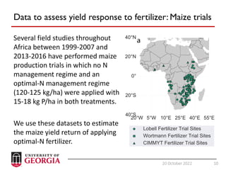 10
20 October 2022 10
Data to assess yield response to fertilizer: Maize trials
Several field studies throughout
Africa between 1999-2007 and
2013-2016 have performed maize
production trials in which no N
management regime and an
optimal-N management regime
(120-125 kg/ha) were applied with
15-18 kg P/ha in both treatments.
We use these datasets to estimate
the maize yield return of applying
optimal-N fertilizer.
 