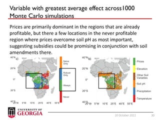 30
20 October 2022 30
Variable with greatest average effect across1000
Monte Carlo simulations
Prices are primarily dominant in the regions that are already
profitable, but there a few locations in the never profitable
region where prices overcome soil pH as most important,
suggesting subsidies could be promising in conjunction with soil
amendments there.
 