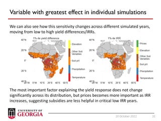 31
20 October 2022 31
Variable with greatest effect in individual simulations
We can also see how this sensitivity changes across different simulated years,
moving from low to high yield differences/IRRs.
The most important factor explaining the yield response does not change
significantly across its distribution, but prices becomes more important as IRR
increases, suggesting subsidies are less helpful in critical low IRR years.
 