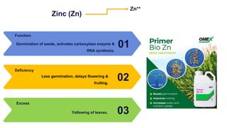 Zinc (Zn)
01
Germination of seeds, activates carboxylase enzyme &
RNA synthesis.
Function
02
Less germination, delays flowering &
fruiting.
Deficiency
03
Yellowing of leaves.
Excess
Zn++
 