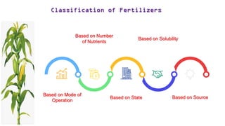 Based on Source
Based on Solubility
Based on State
Based on Number
of Nutrients
Based on Mode of
Operation
Classification of Fertilizers
 