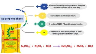It is manufactured by treating powdered phosphate
rock with sulphuric acid at room temp.
01
It contains 16-20% P2O5 and is soluble in water.
03
Care should be taken during storage as it has
tendancy to convert into hard lumps.
04
This reaction is exothermic in nature.
02
Superphosphate
Ca3(PO4)2 + 2H2SO4 + 2H2O Ca(H2PO4)2 + 2CaSO4 + 2H2O
 