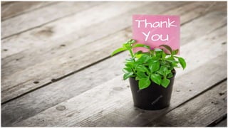 B.Sc._Fertilizers_ubb_25.09.24_____________________