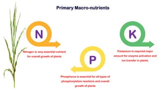 N
Nitrogen is very essential nutrient
for overall growth of plants
Phosphorus is essential for all types of
phosphorylation reactions and overall
growth of plants
Potassium is required major
amount for enzyme activation and
ion transfer in plants.
Primary Macro-nutrients
P
K
 