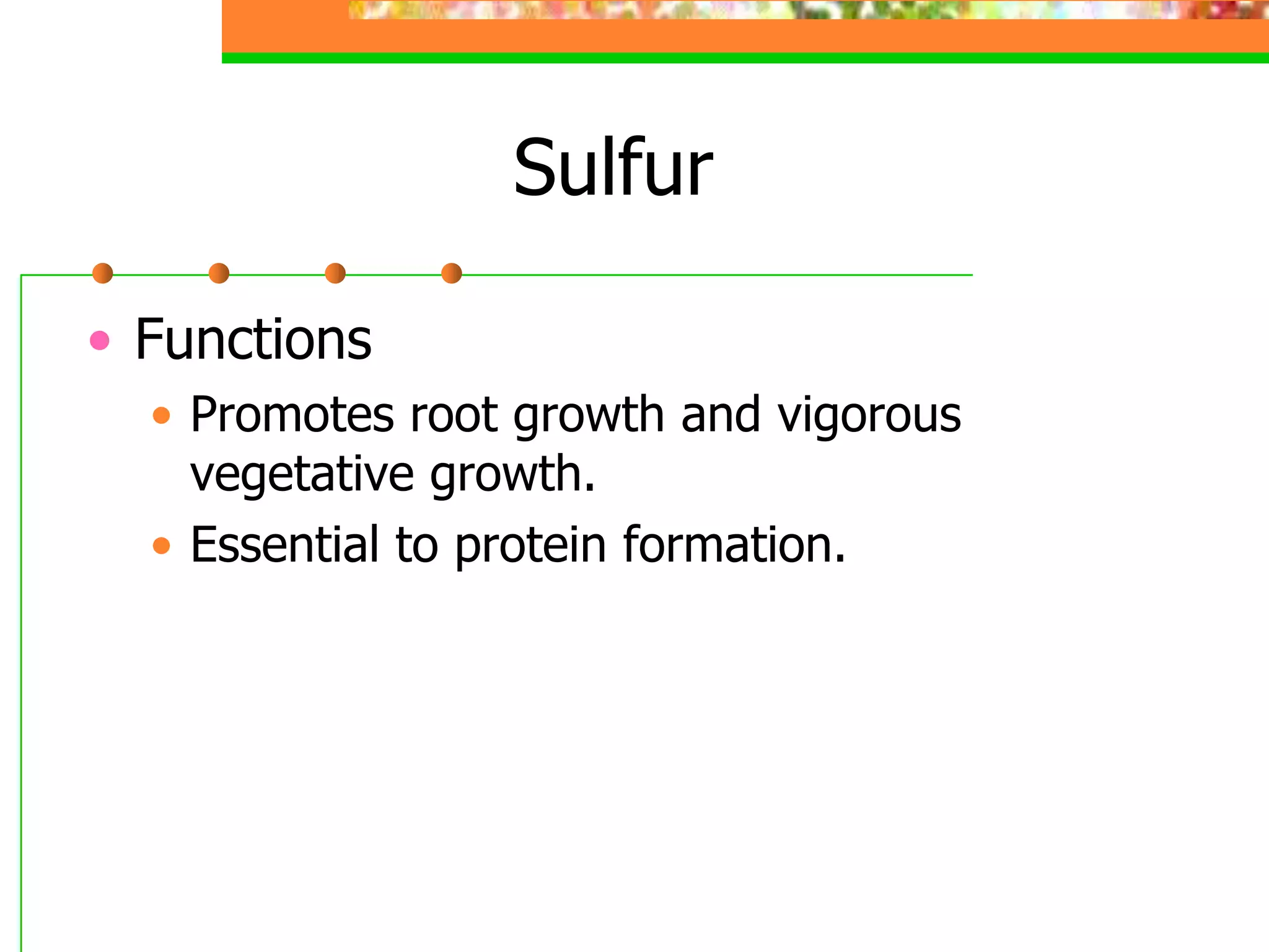 Sulfur
• Functions
• Promotes root growth and vigorous
vegetative growth.
• Essential to protein formation.
 