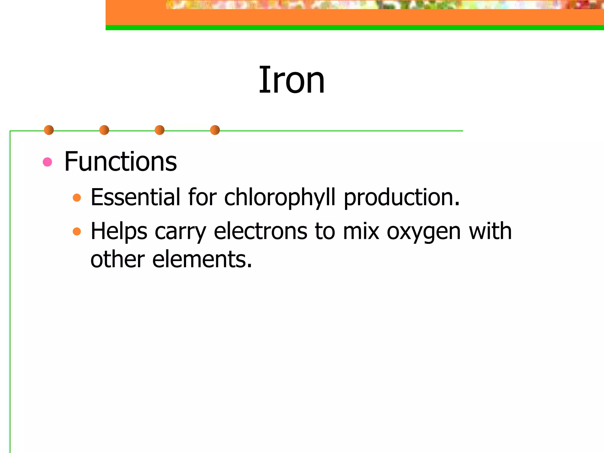 Iron
• Functions
• Essential for chlorophyll production.
• Helps carry electrons to mix oxygen with
other elements.
 