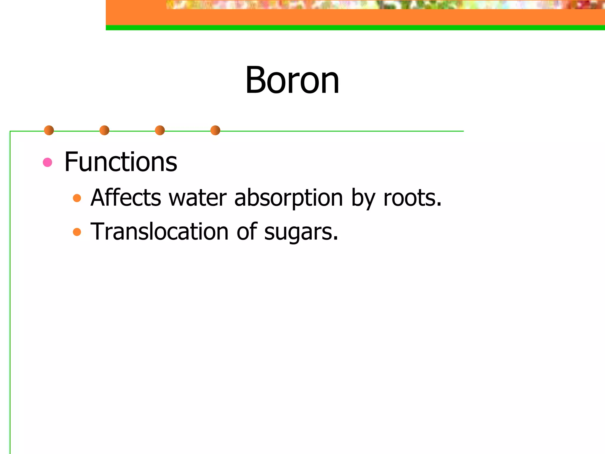 Boron
• Functions
• Affects water absorption by roots.
• Translocation of sugars.
 