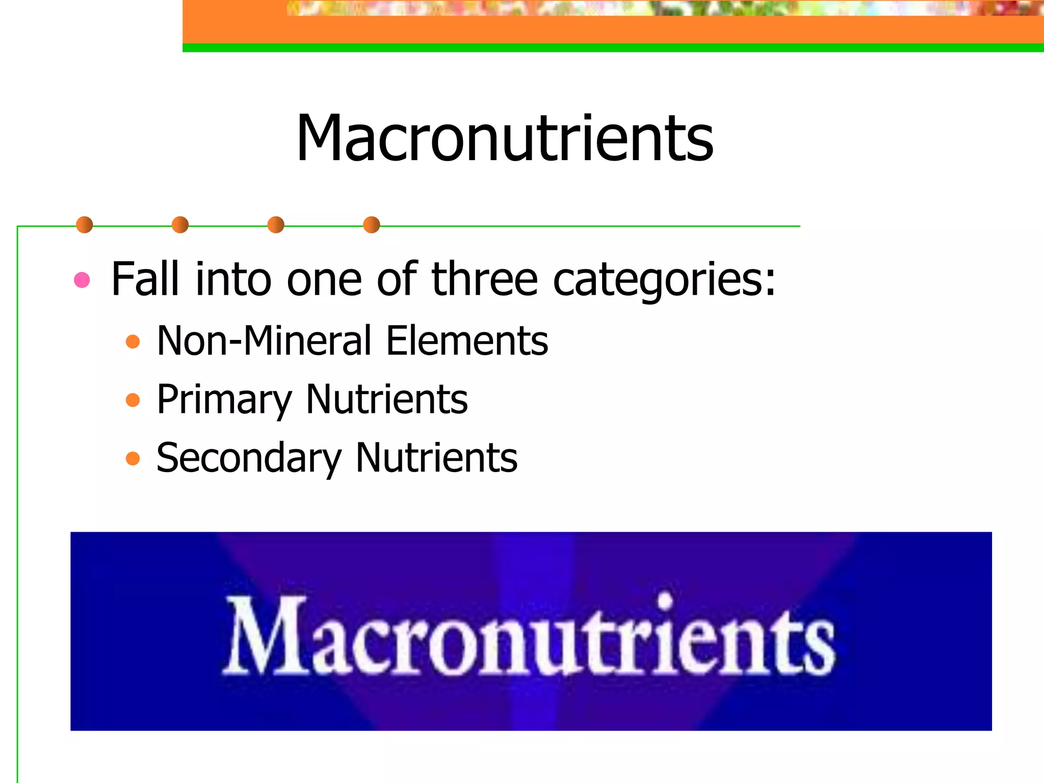 Macronutrients
• Fall into one of three categories:
• Non-Mineral Elements
• Primary Nutrients
• Secondary Nutrients
 