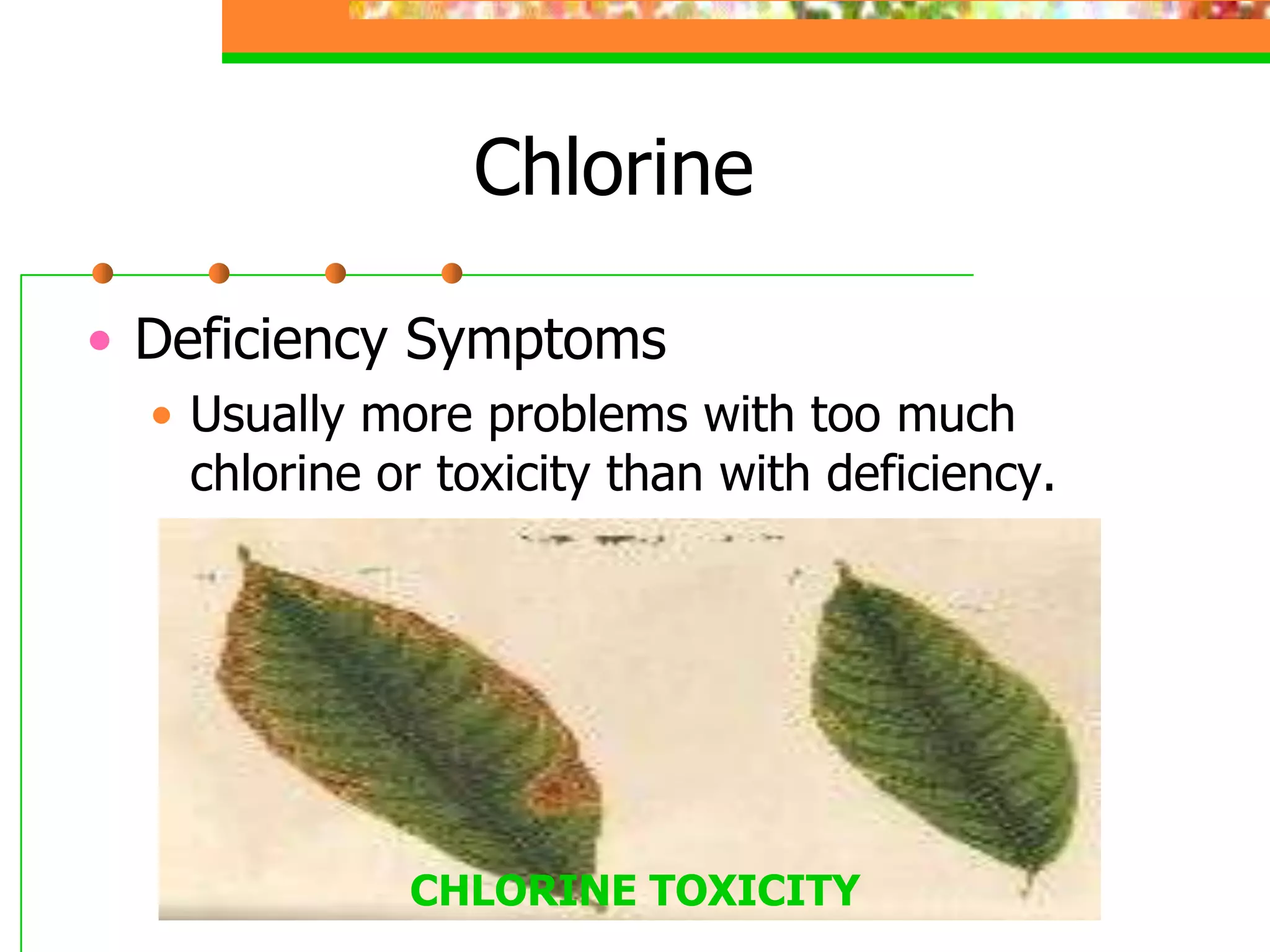 Chlorine
• Deficiency Symptoms
• Usually more problems with too much
chlorine or toxicity than with deficiency.
CHLORINE TOXICITY
 