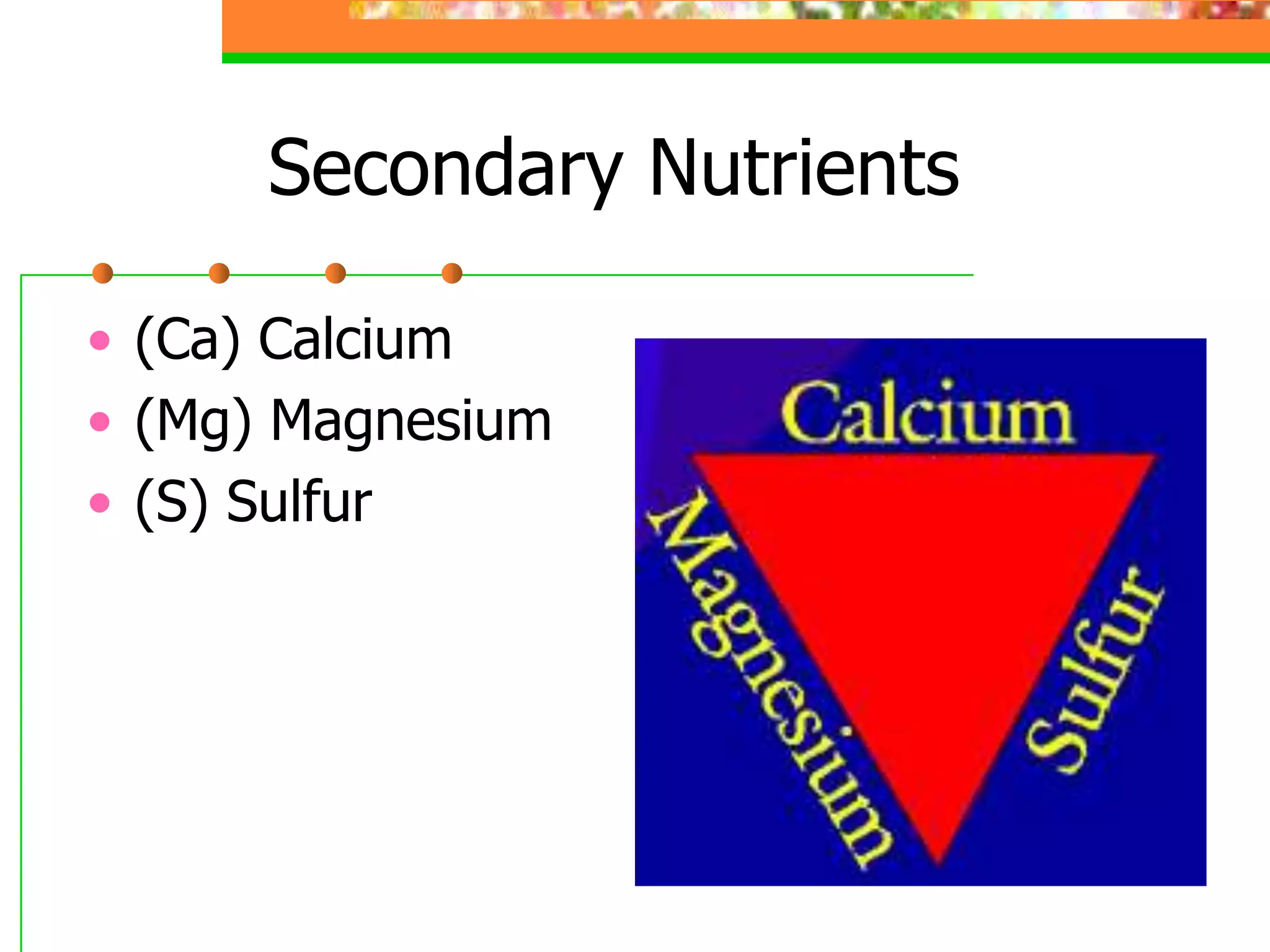 Secondary Nutrients
• (Ca) Calcium
• (Mg) Magnesium
• (S) Sulfur
 