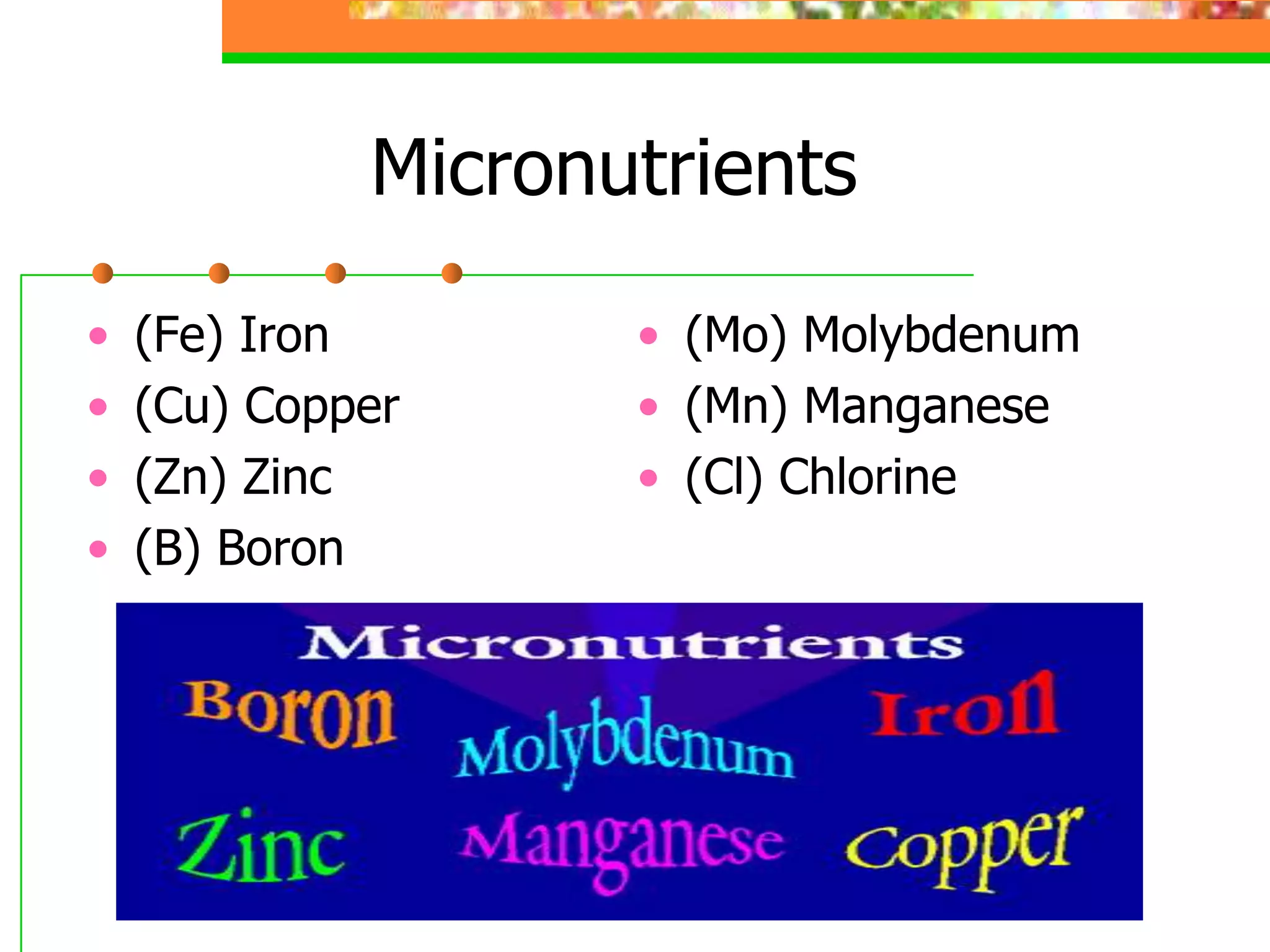 Micronutrients
• (Fe) Iron
• (Cu) Copper
• (Zn) Zinc
• (B) Boron
• (Mo) Molybdenum
• (Mn) Manganese
• (Cl) Chlorine
 