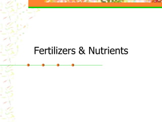 Fertilizers & Nutrients
 