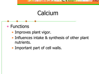 Calcium
• Functions
• Improves plant vigor.
• Influences intake & synthesis of other plant
nutrients.
• Important part of cell walls.
 