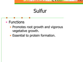 Sulfur
• Functions
• Promotes root growth and vigorous
vegetative growth.
• Essential to protein formation.
 