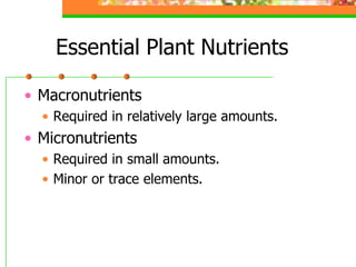 Essential Plant Nutrients
• Macronutrients
• Required in relatively large amounts.
• Micronutrients
• Required in small amounts.
• Minor or trace elements.
 