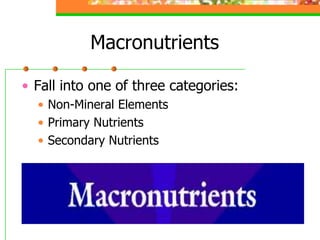 Macronutrients
• Fall into one of three categories:
• Non-Mineral Elements
• Primary Nutrients
• Secondary Nutrients
 