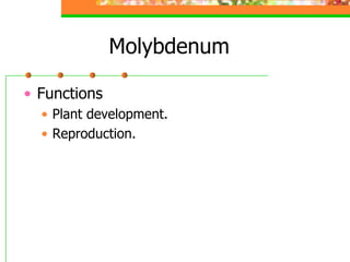 Molybdenum
• Functions
• Plant development.
• Reproduction.
 