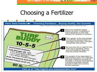 Choosing a Fertilizer
 