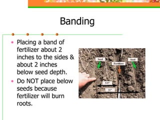 Banding
• Placing a band of
fertilizer about 2
inches to the sides &
about 2 inches
below seed depth.
• Do NOT place below
seeds because
fertilizer will burn
roots.
 