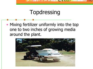 Topdressing
• Mixing fertilizer uniformly into the top
one to two inches of growing media
around the plant.
 