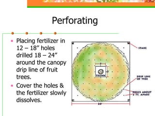 Perforating
• Placing fertilizer in
12 – 18” holes
drilled 18 – 24”
around the canopy
drip line of fruit
trees.
• Cover the holes &
the fertilizer slowly
dissolves.
 