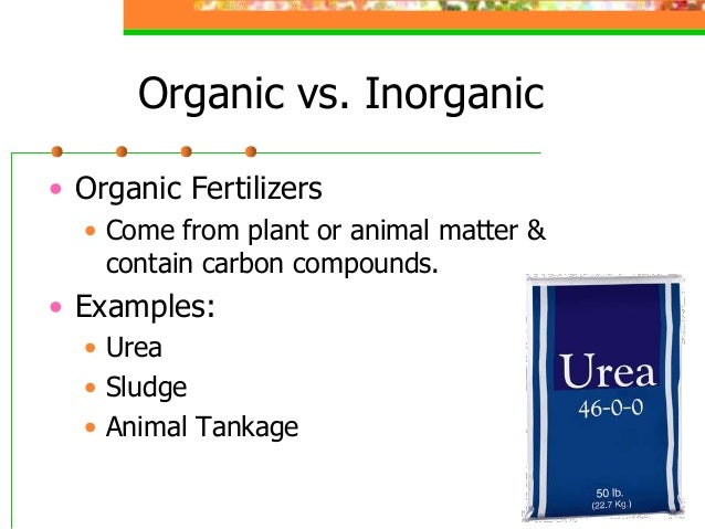 chemical fertilizers vs organic fertilizers Hi, wondering about the pro's anc con's of using organic fertilizers vs chemical fertilizers it's a new hydro-seeded lawn with questionable soil composition thanks. chemical fertilizers vs organic fertilizers Hi, wondering about the pro's anc con's of using organic fertilizers vs chemical fertilizers it's a new hydro-seeded lawn with questionable soil composition thanks.