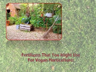 Fertilizers that you might use for vegan horticulture