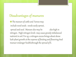 Disadvantages of manures
 The manure of cattle and horses may
include weed seeds . weeds easily sprout,
spread and seed . Manure also may be also high in
nitrogen . High nitrogen levels may cause grossly imbalanced
nutrient in soil. For eg. a nitrogen excess brings about dense
lush plant growth at the expense of fruiting and flowering.And
manuer endanger health,through the spread of E.
 