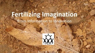 Fertilizing Imagination
From Information to Innovation
Anil K Gupta
 