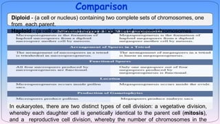 Fertilzation and Gametogenesis in Flowering plants | PPTX