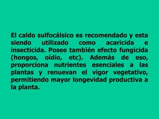 El caldo sulfocálsico es recomendado y esta
siendo utilizado como acaricida e
insecticida. Posee también efecto fungicida
(hongos, oídio, etc). Además de eso,
proporciona nutrientes esenciales a las
plantas y renuevan el vigor vegetativo,
permitiendo mayor longevidad productiva a
la planta.
 