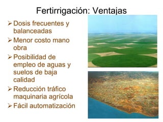 Fertirrigación: Ventajas Dosis frecuentes y balanceadas Menor costo mano obra Posibilidad de empleo de aguas y suelos de baja calidad Reducción tráfico maquinaria agrícola Fácil automatización