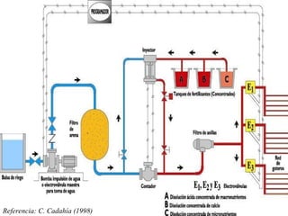 Referencia: C. Cadahía (1998)