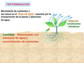 FERTIRRIGACION Movimiento de nutrientes a las raíces en el flujo de agua causado por la transpiración de la planta y absorción de agua . Cantidad: Relacionada con consumo de agua y concentración de nutrientes . Depende condiciones climáticas