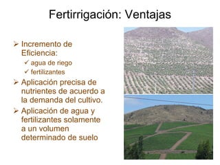 Fertirrigación: Ventajas Incremento de Eficiencia: agua de riego fertilizantes Aplicación precisa de nutrientes de acuerdo a la demanda del cultivo. Aplicación de agua y fertilizantes solamente a un volumen determinado de suelo