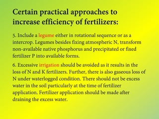 Certain practical approaches to
increase efficiency of fertilizers:
5. Include a legume either in rotational sequence or as a
intercrop. Legumes besides fixing atmospheric N, transform
non-available native phosphorus and precipitated or fixed
fertilizer P into available forms.
6. Excessive irrigation should be avoided as it results in the
loss of N and K fertilizers. Further, there is also gaseous loss of
N under waterlogged condition. There should not be excess
water in the soil particularly at the time of fertilizer
application. Fertilizer application should be made after
draining the excess water.
 