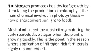 N = Nitrogen promotes healthy leaf growth by
stimulating the production of chlorophyll (the
main chemical involved in photosynthesis—
how plants convert sunlight to food).
Most plants need the most nitrogen during the
early reproductive stages when the plant is
growing quickly. This is the point in the season
where application of nitrogen rich fertilizers is
highly recommended.
 