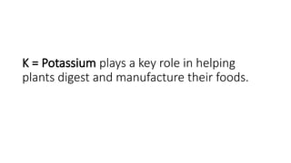 K = Potassium plays a key role in helping
plants digest and manufacture their foods.
 