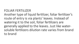 FOLIAR FERTILIZER
Another type of liquid fertilizer, foliar fertilizer’s
route of entry is via plants’ leaves. Instead of
watering it to the soil, foliar fertilizers are
generally applied to the leaves. Just like water-
soluble fertilizers dilution rate varies from brand
to brand
 